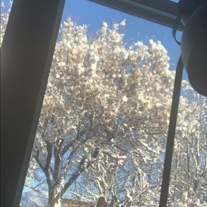 Meet your Posher, Kerry